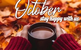 فندق القاهرة برادايس